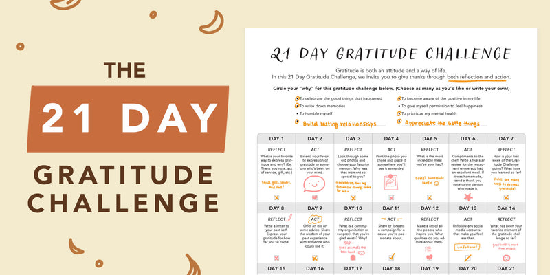 Your Guide to the 21-Day Gratitude Challenge — Passion Planner