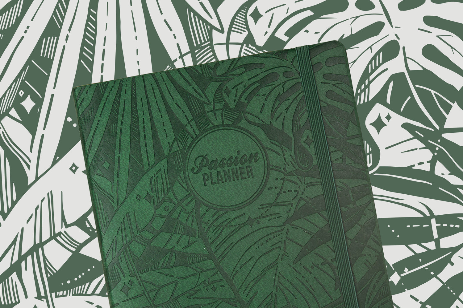 Meet the Cover Artist: Xinwei Huang