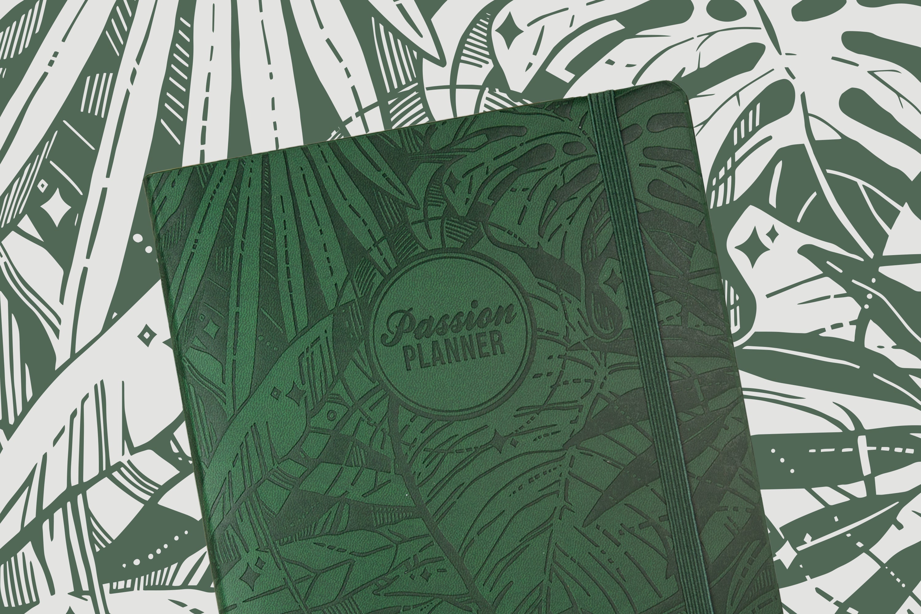 Meet the Cover Artist: Xinwei Huang