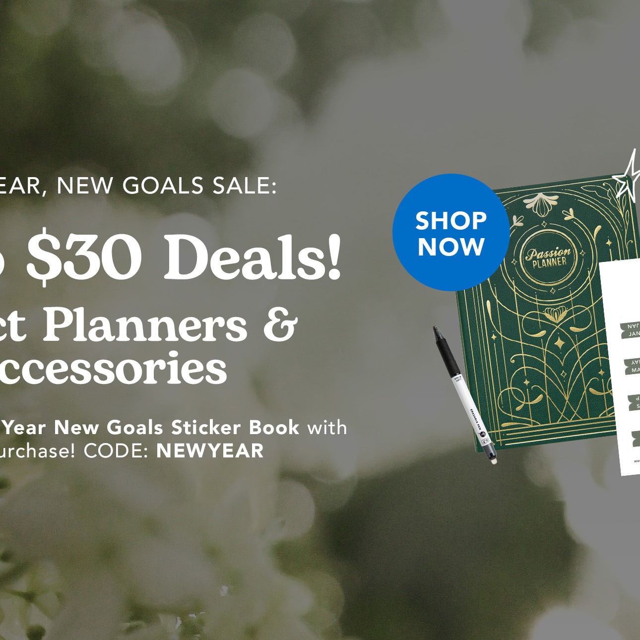 Deal of the Day Planners