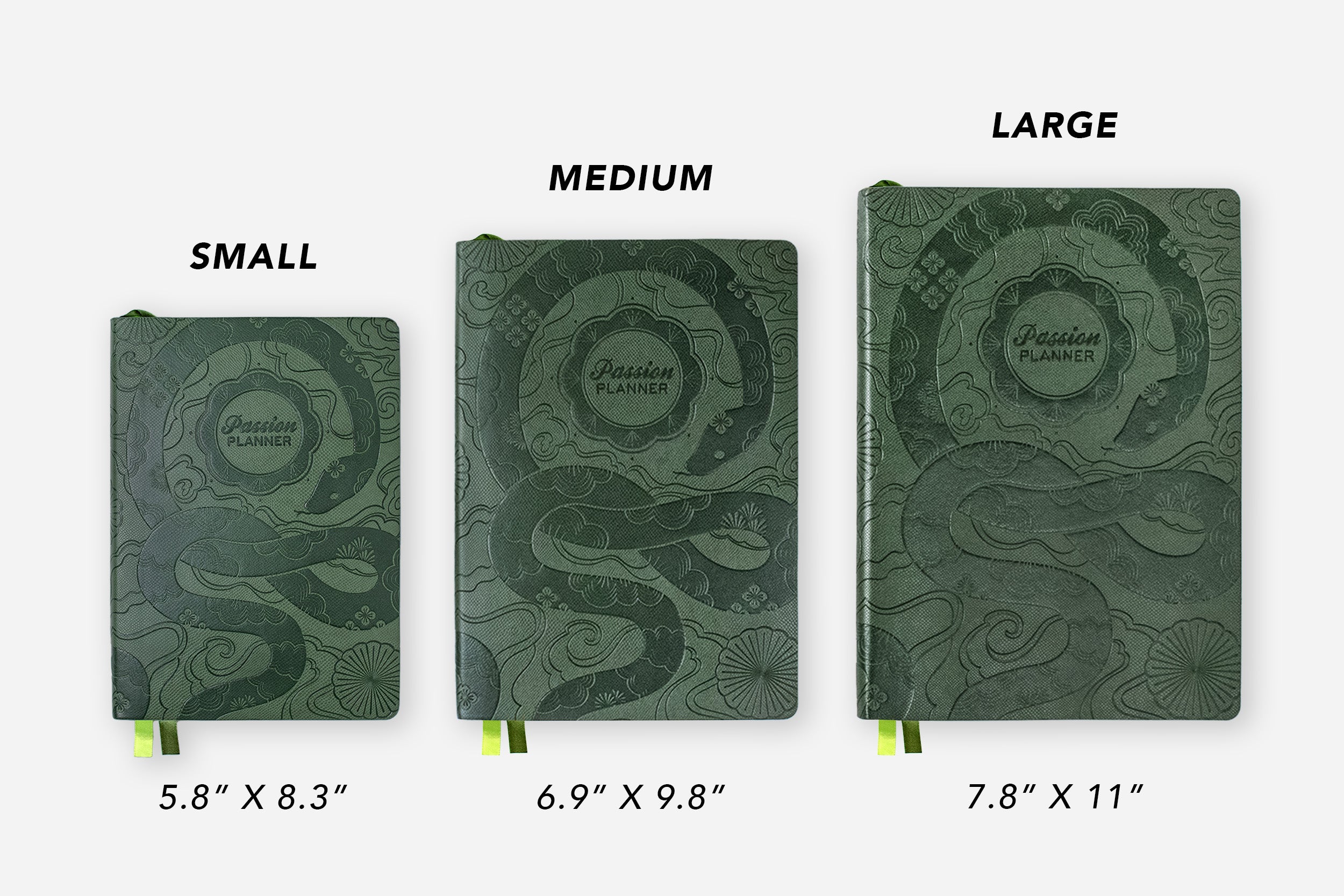 Passion Planner Size Comparison