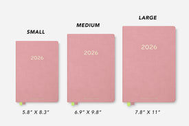 Dusty Rose Passion Planner size comparison