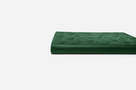 Gingko Green 2026 Weekly Passion Planner spine close up