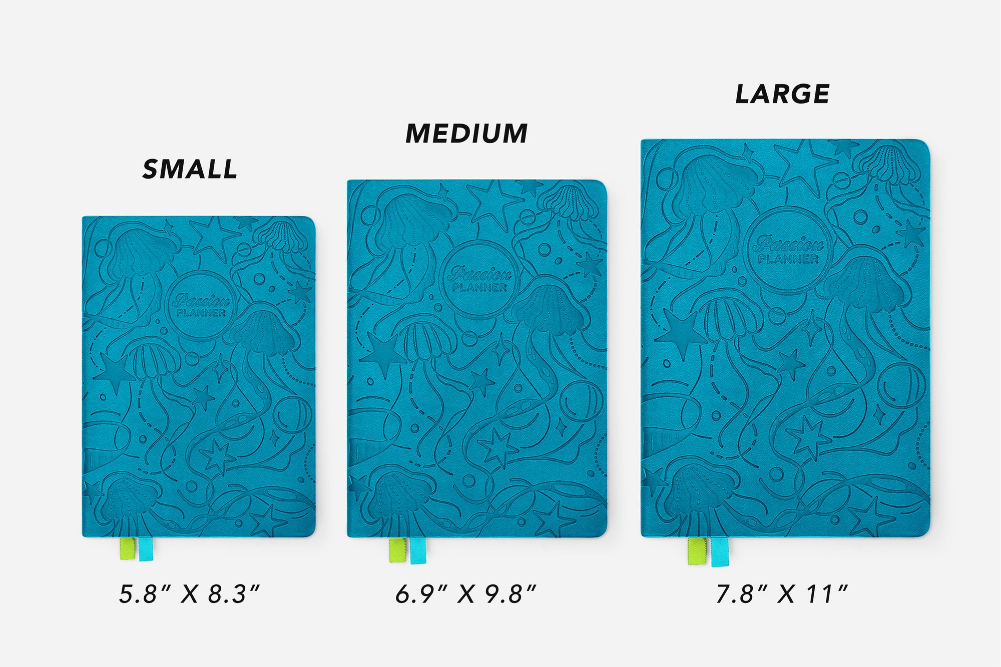 Starry Jellyfish Passion Planner size comparison