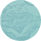 Arctic Blue Color Swatch