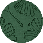 Ginkgo Green Color Swatch