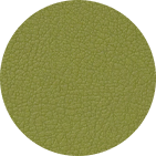 Solid moss green color swatch