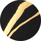 Onyx Kintsugi color swatch