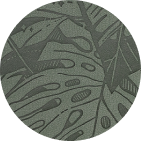 Sagebrush Green Color Swatch