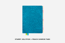 starry jellyfish planner and monthly tabs combinations
