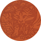 Tiger Orange Color Swatch