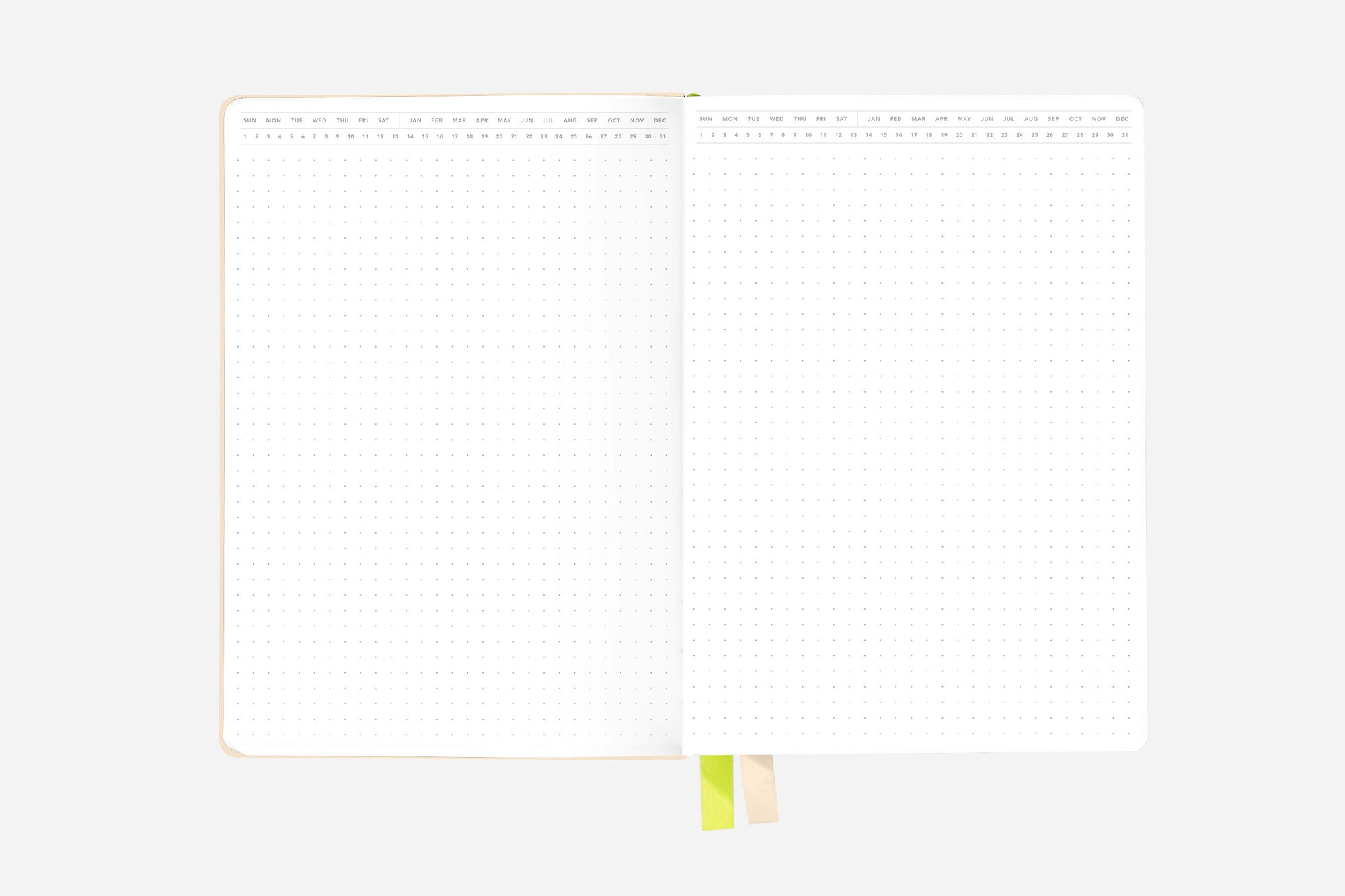 vanilla cream dot grid bullet journal