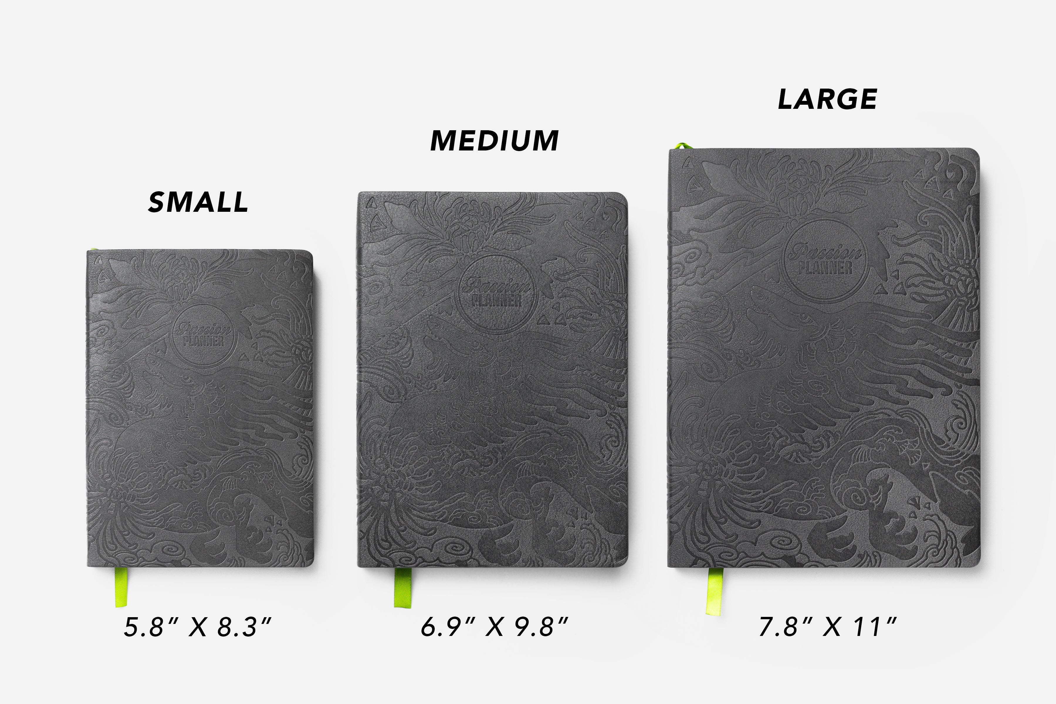 year of the dragon 2024 planner size comparison