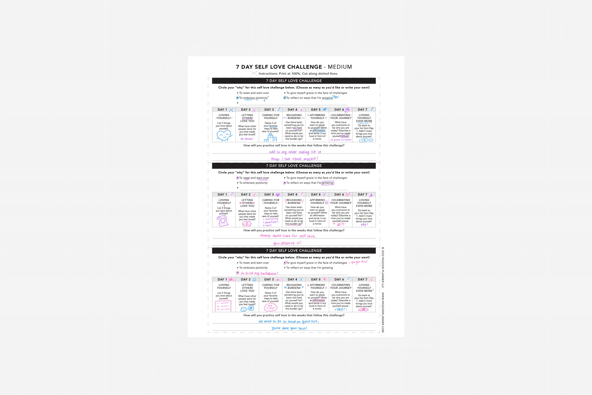 7 Day Self Love Challenge - Passion Planner