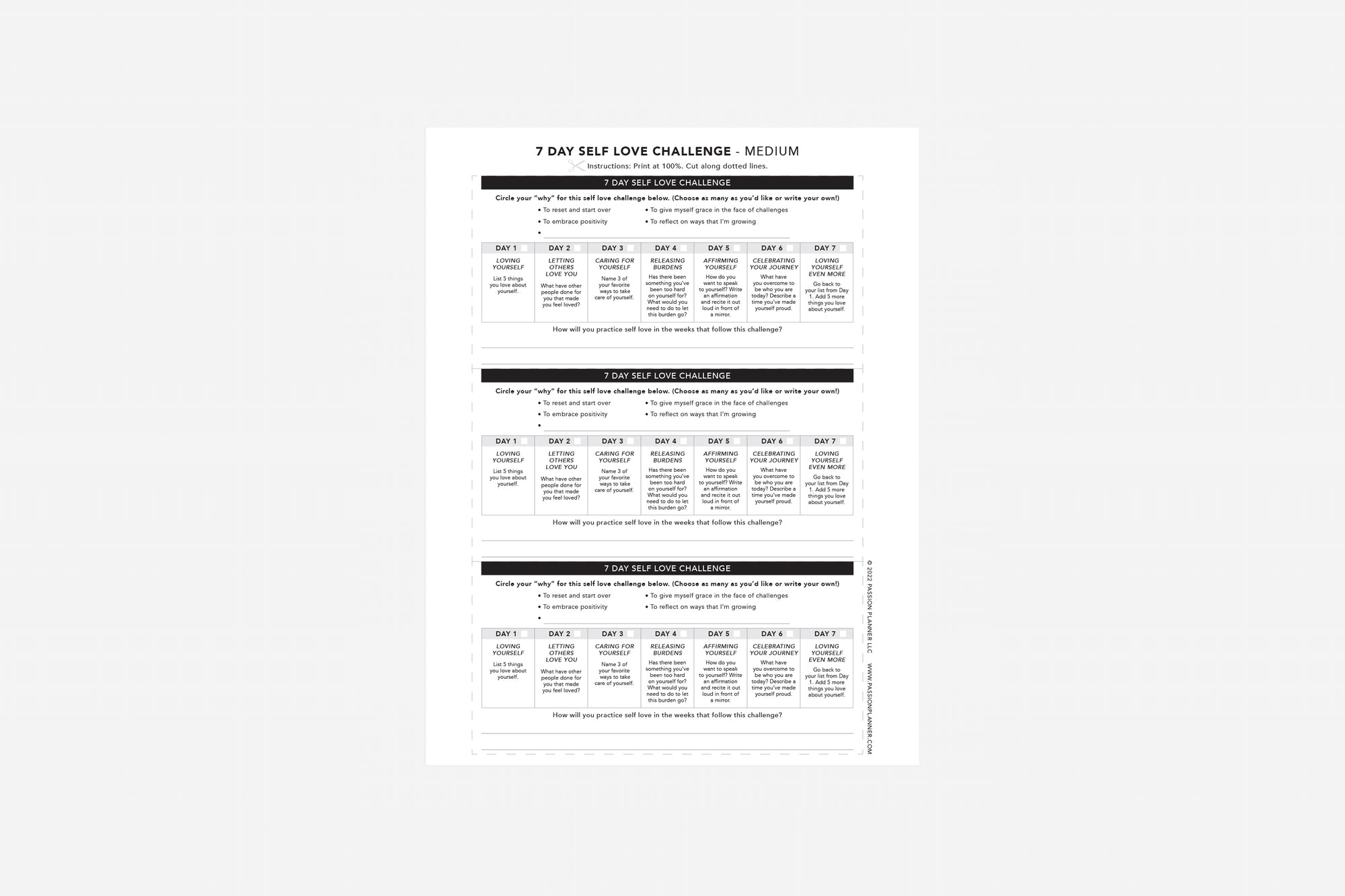 7 Day Self Love Challenge - Passion Planner