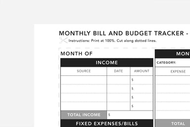 Monthly Bill and Budget Tracker - Passion Planner