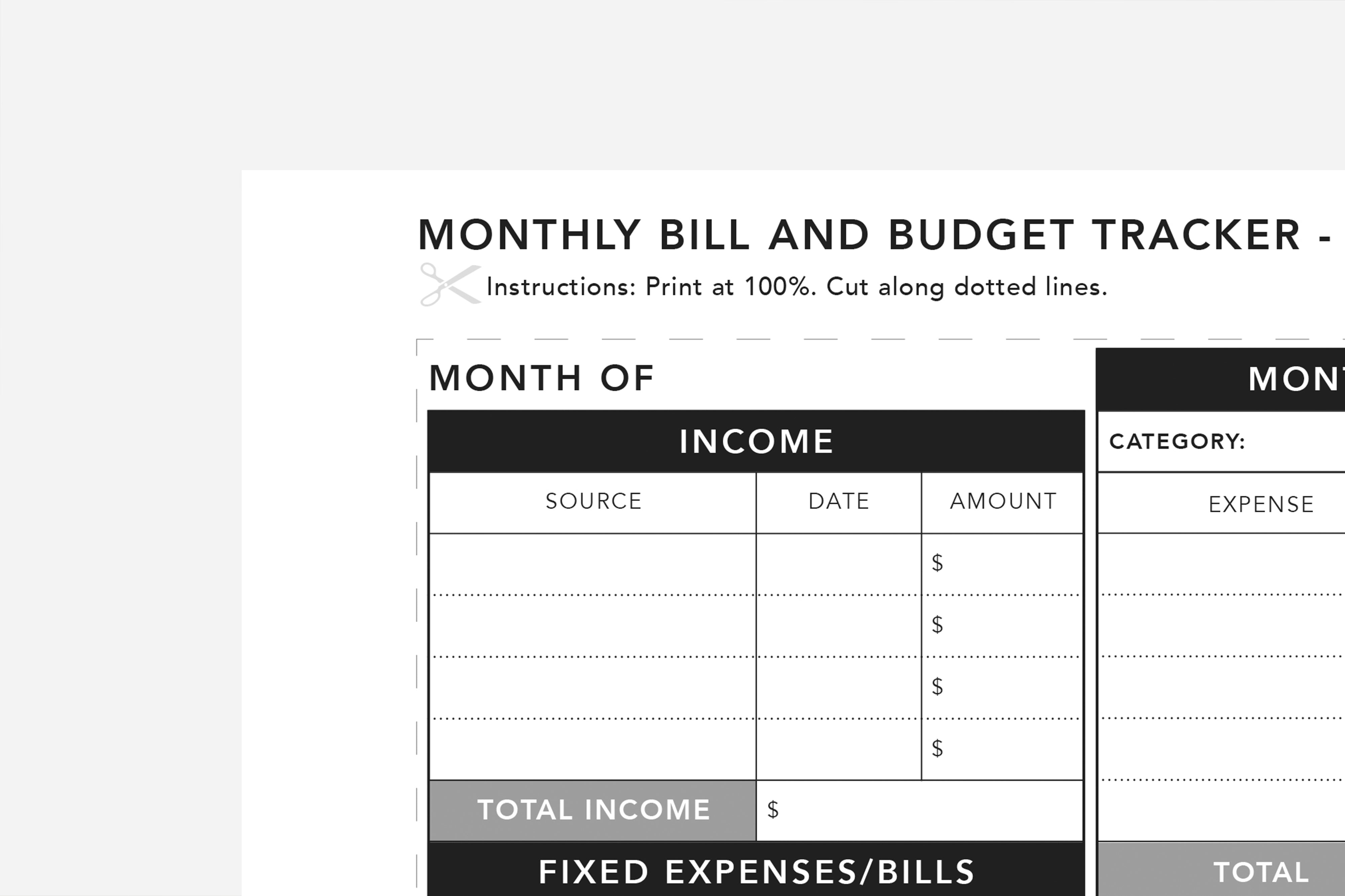 Monthly Bill and Budget Tracker - Passion Planner