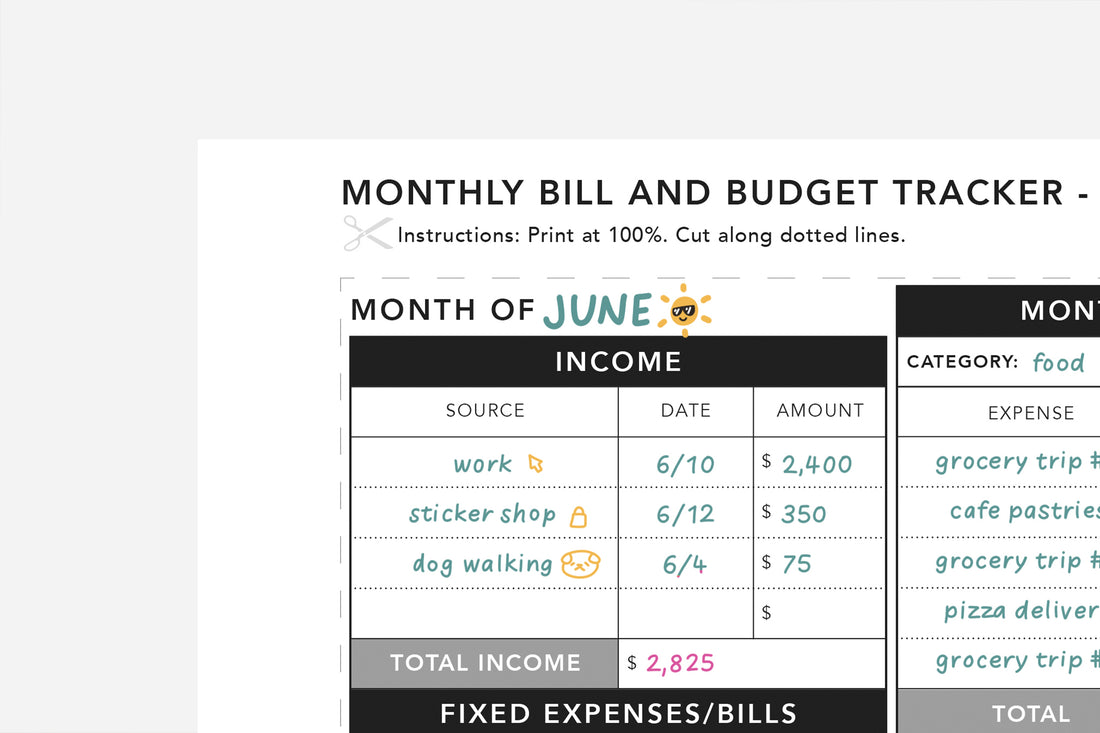 Monthly Bill and Budget Tracker - Passion Planner