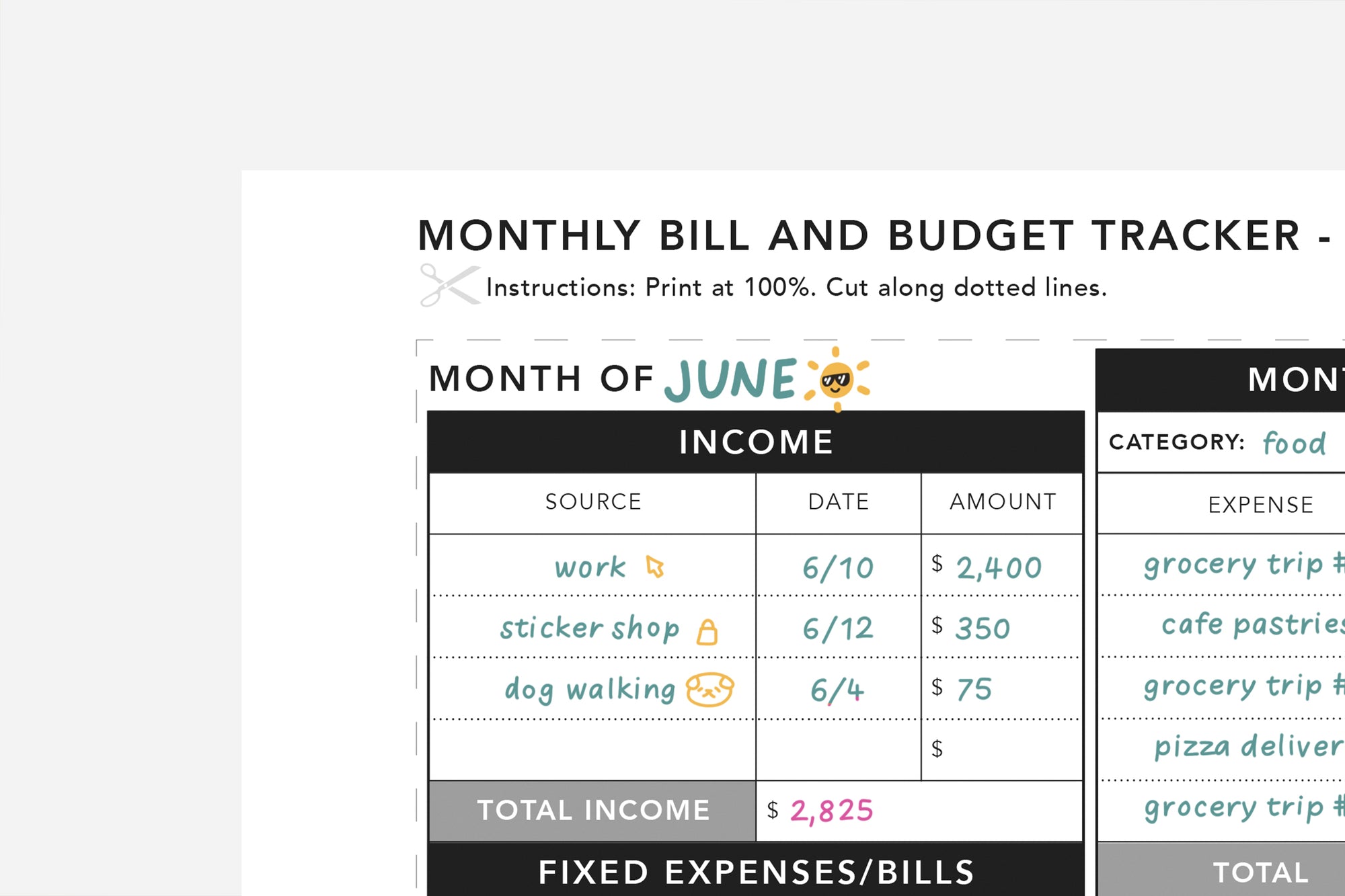 Monthly Bill and Budget Tracker - Passion Planner