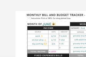 Monthly Bill and Budget Tracker - Passion Planner