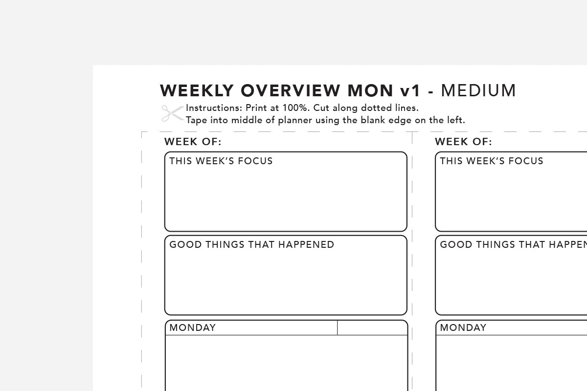 Weekly Overview | Free Printable | Passion Planner