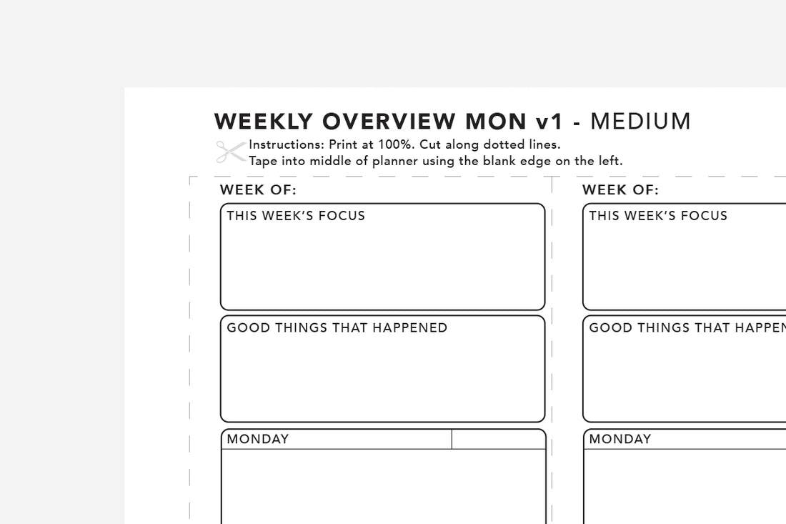 Weekly Overview - Passion Planner