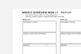 Weekly Overview - Passion Planner