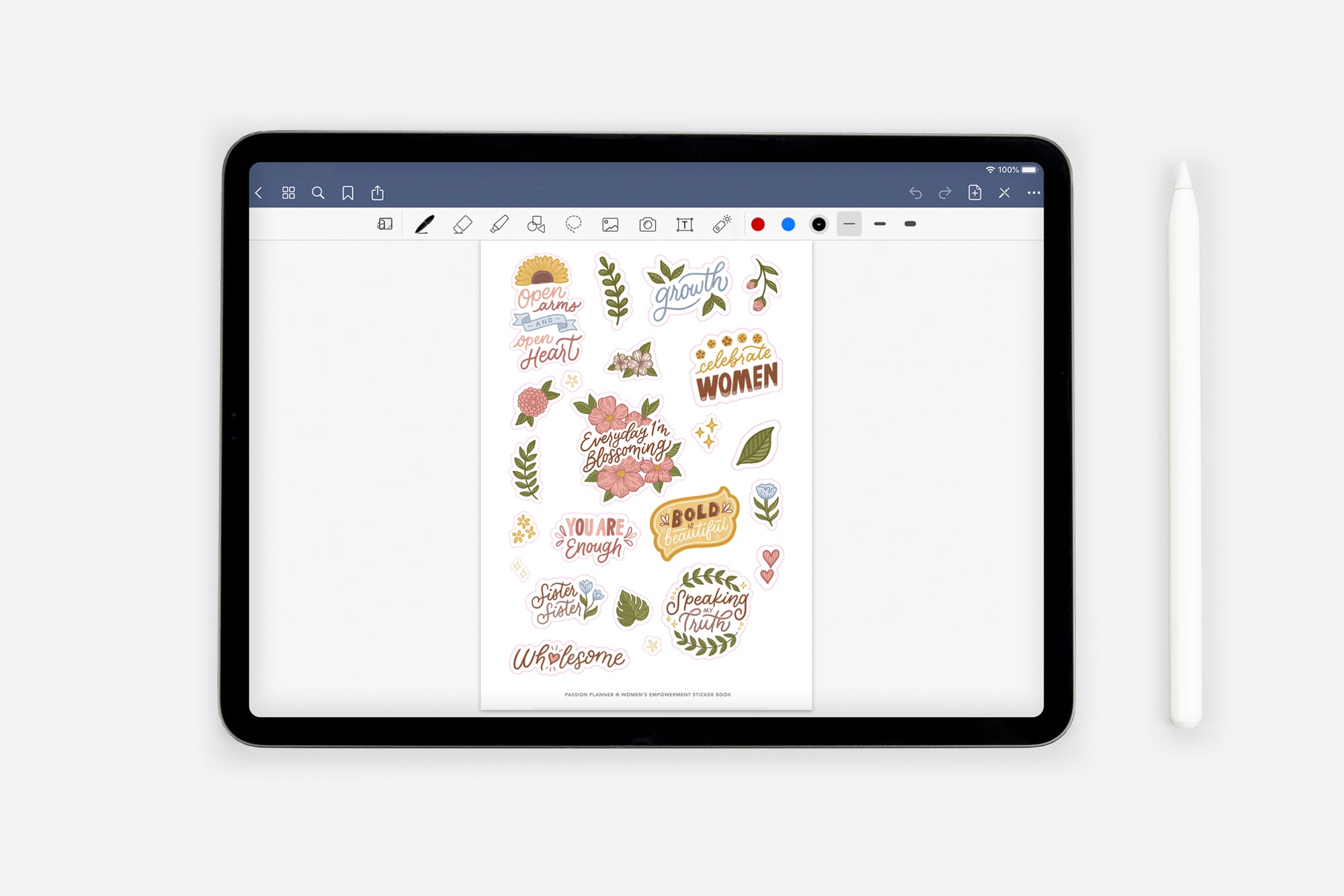 Digital Women's Empowerment Sticker Book - Passion Planner