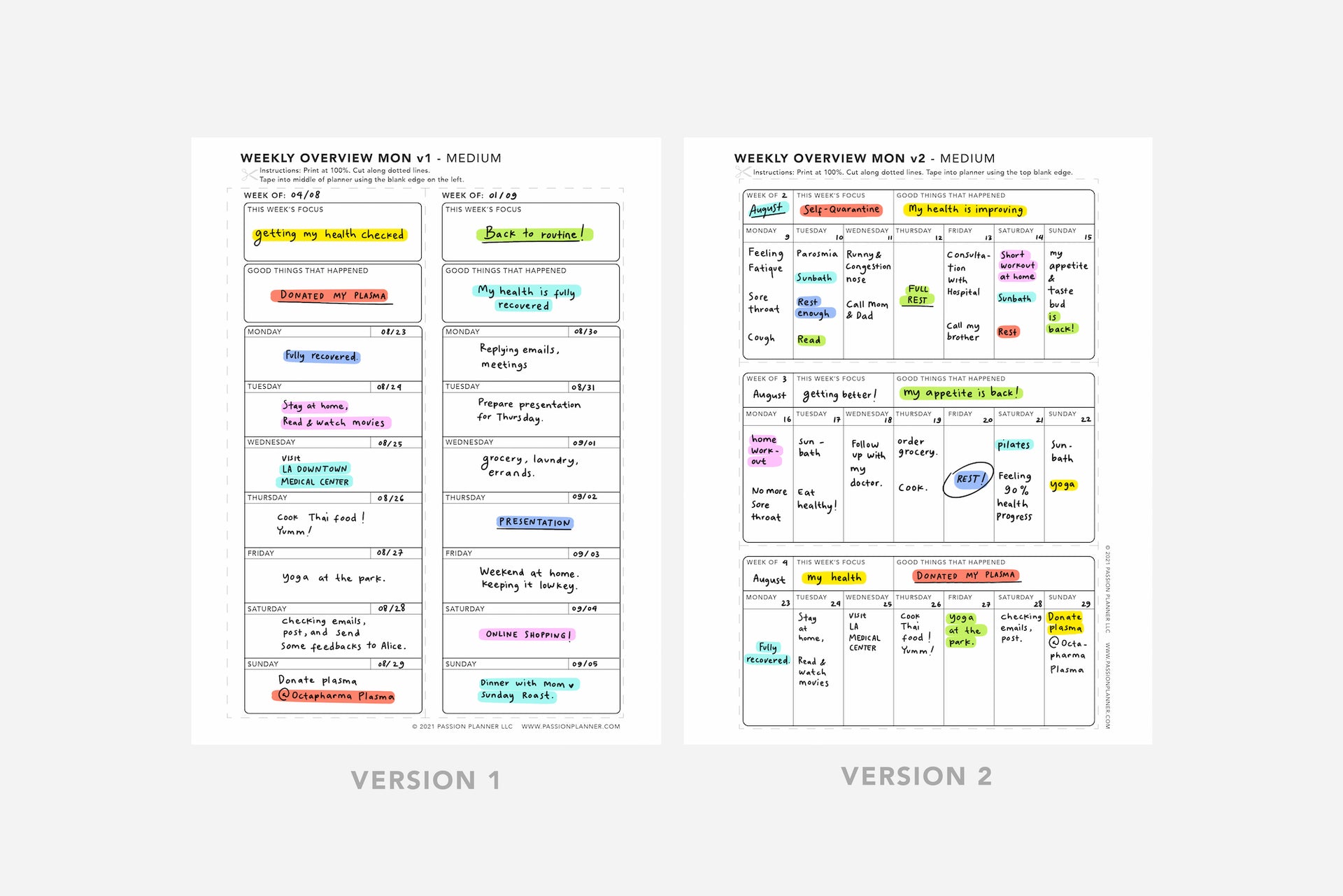 Weekly Overview | Free Printable | Passion Planner