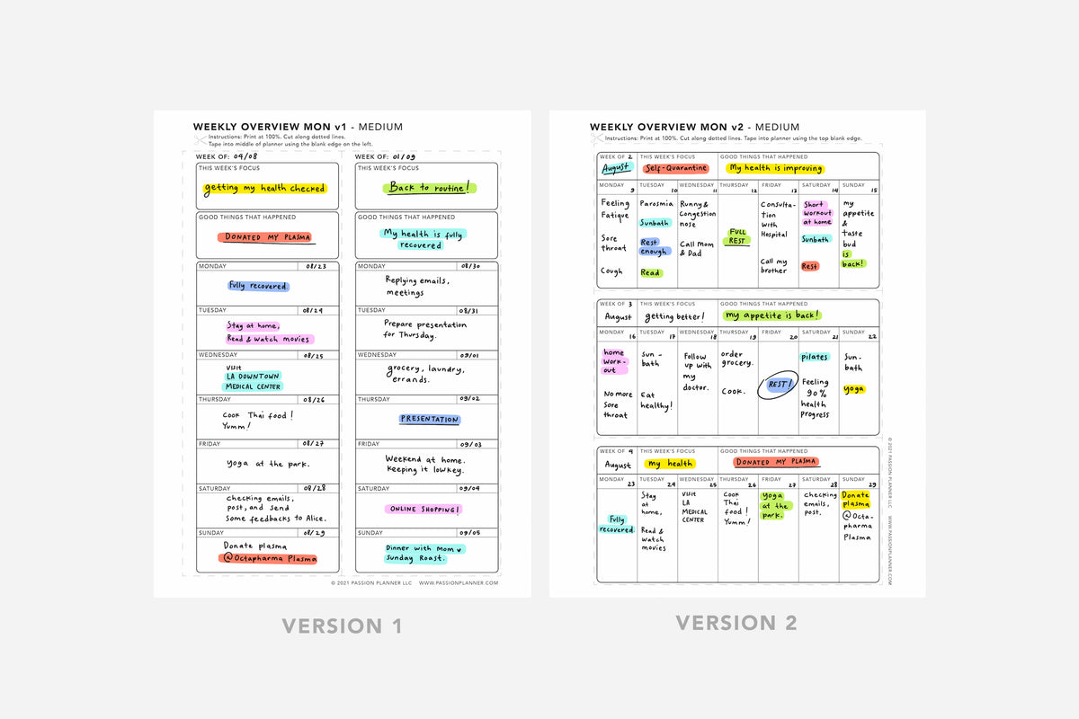 Weekly Overview | Free Printable | Passion Planner