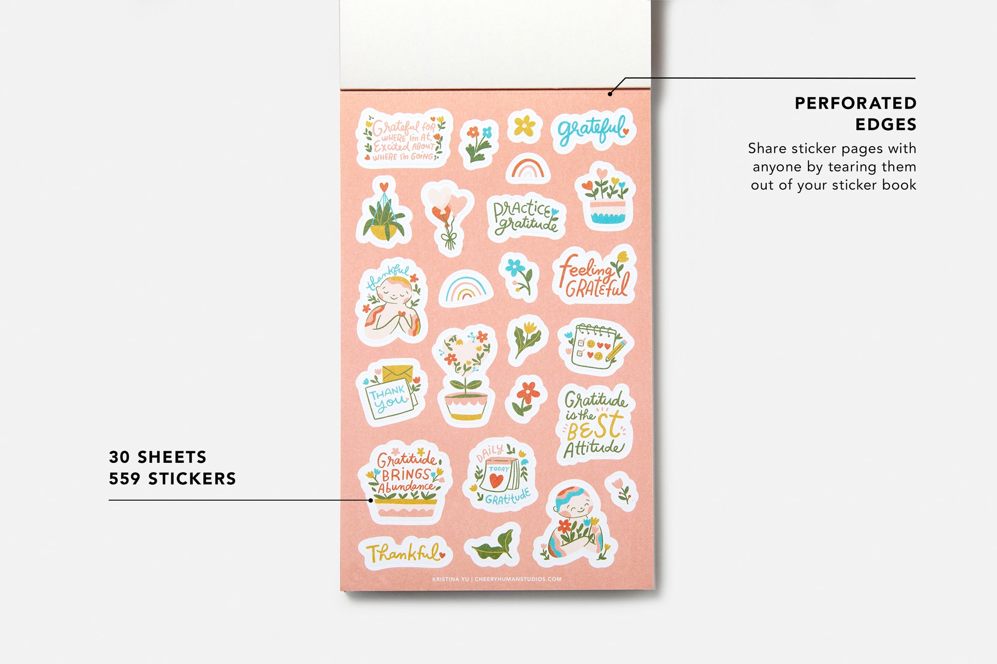 Gratitude and Affirmations Sticker Book - Passion Planner
