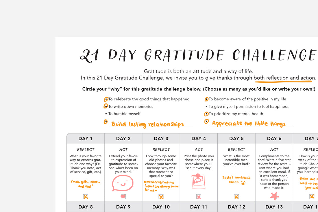 Gratitude Challenge - Passion Planner
