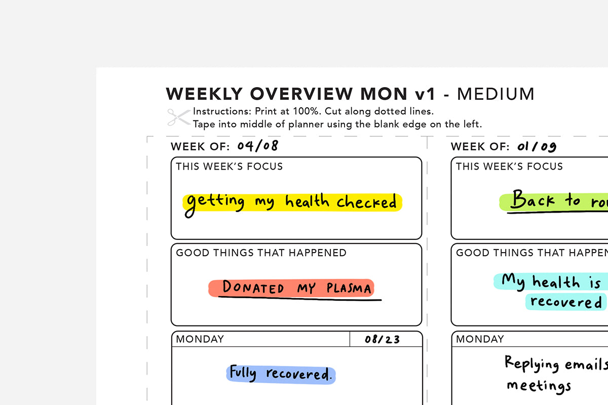 Weekly Overview Free Printable Passion Planner