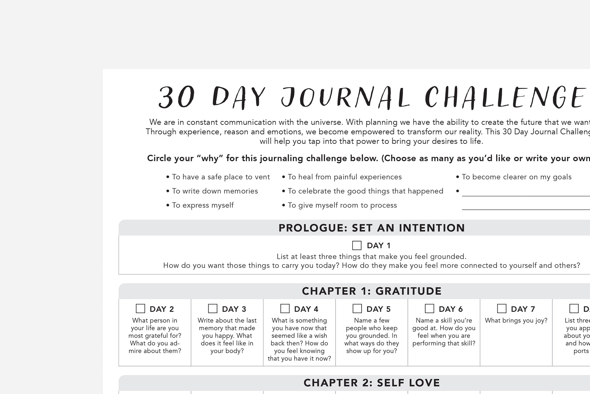 30 Day Journal Challenge - Passion Planner