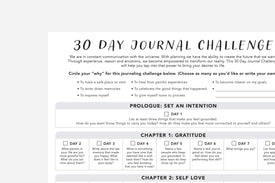 30 Day Journal Challenge - Passion Planner