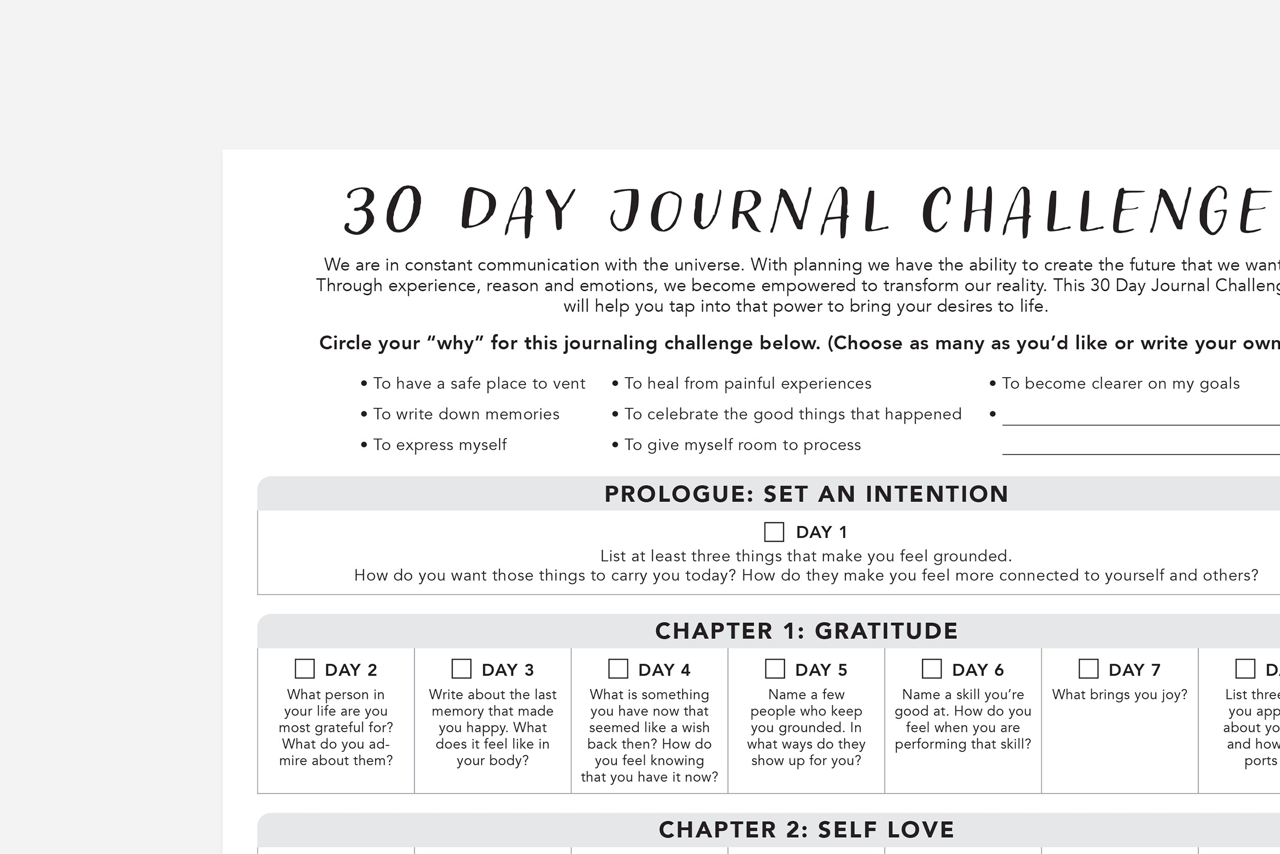 30 Day Journal Challenge - Passion Planner