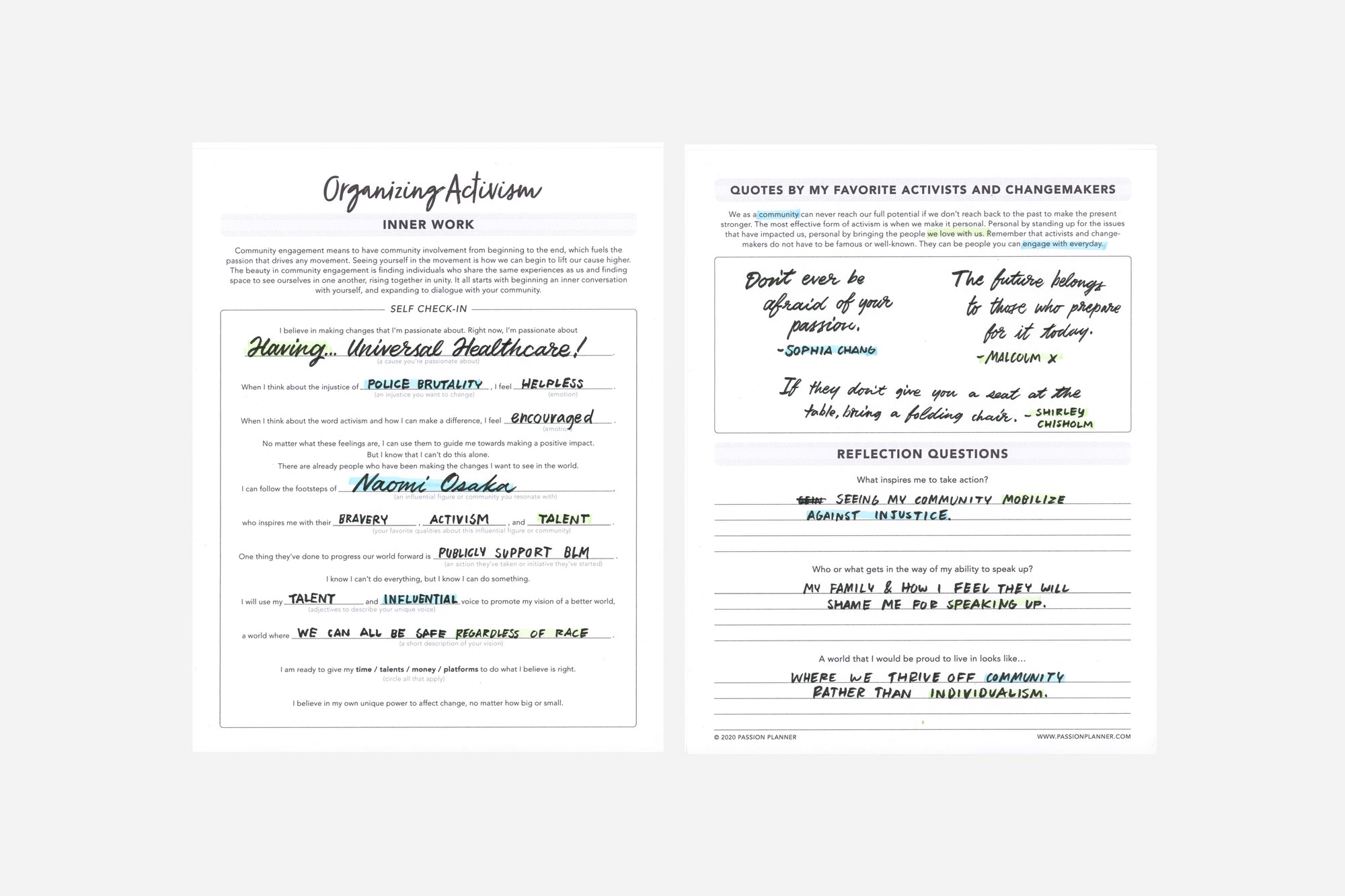 Organizing Activism - Passion Planner