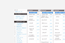 Calorie Tracker - Passion Planner