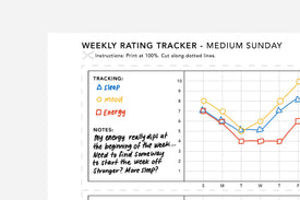 Rating Tracker PDF