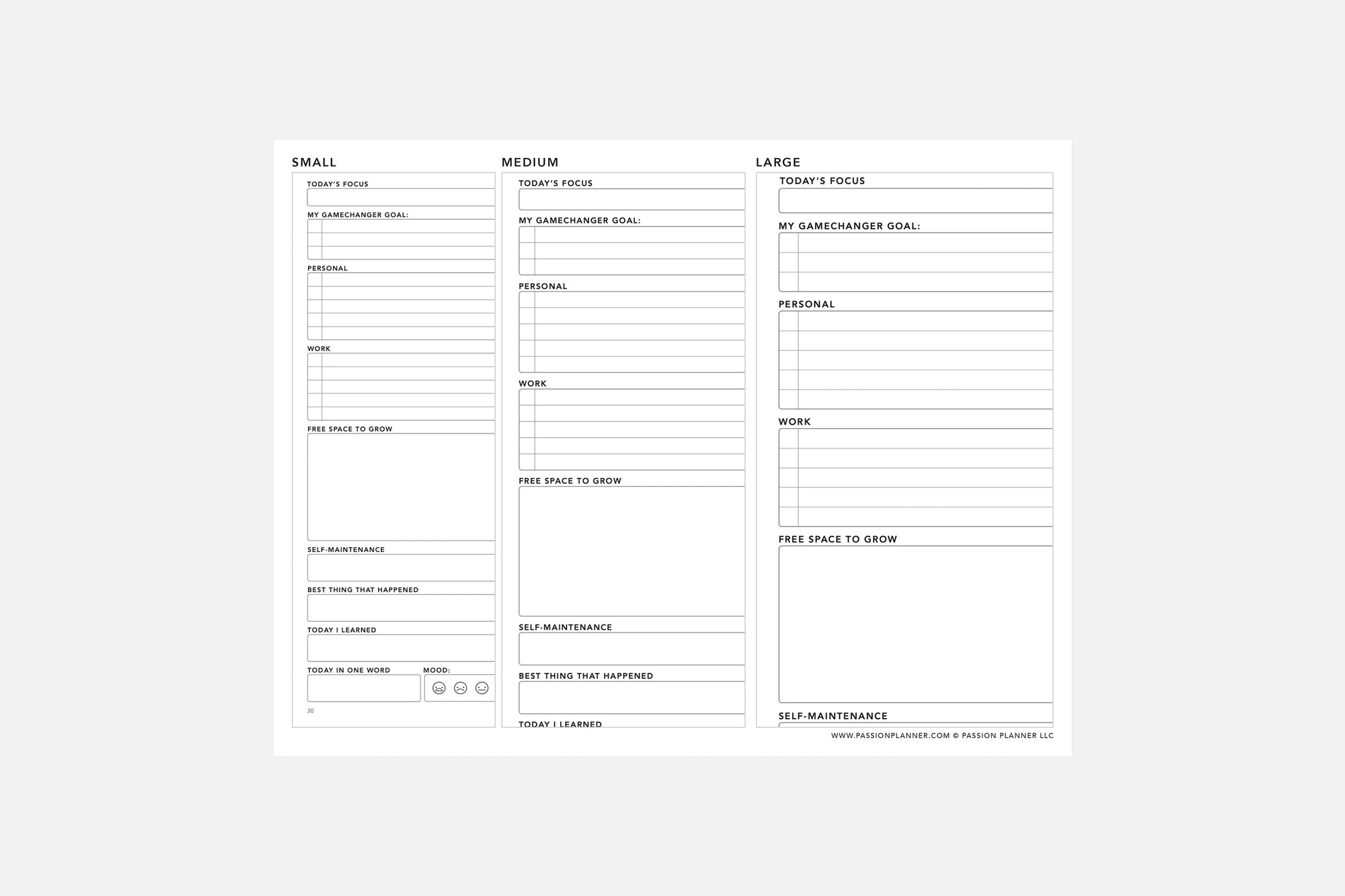 Handwriting Test Daily - Passion Planner