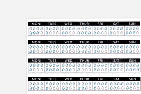 Water Tracker - Passion Planner